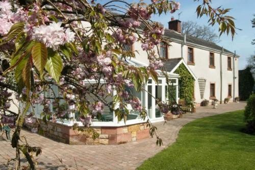 Bessiestown Country Guesthouse Carlisle  Extérieur photo